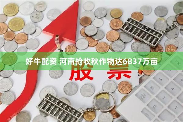 好牛配资 河南抢收秋作物达6837万亩