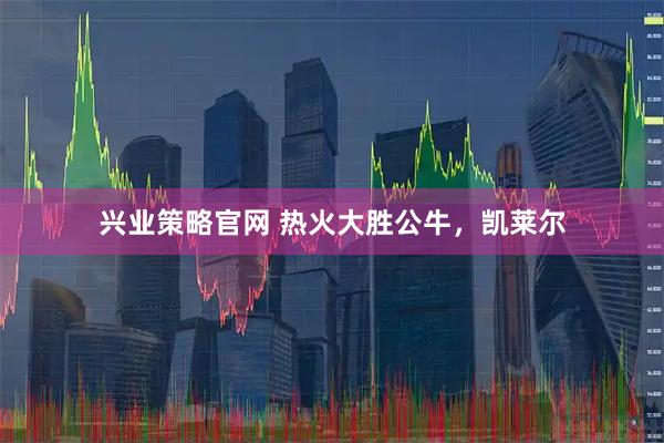 兴业策略官网 热火大胜公牛，凯莱尔